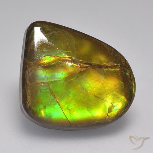 10.46ct Natürlicher Mehrfarbig Ammolith, Fantasie, Lichtundurchlässig
