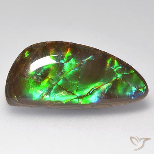 10.29ct Natürlicher Mehrfarbig Ammolith, Fantasie, Lichtundurchlässig