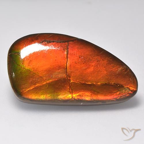 16.93ct Natürlicher Mehrfarbig Ammolith, Fantasie, Lichtundurchlässig