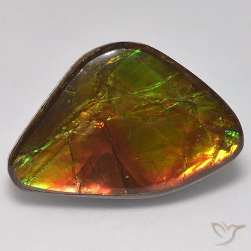 14.18ct Natürlicher Mehrfarbig Ammolith, Fantasie, Lichtundurchlässig