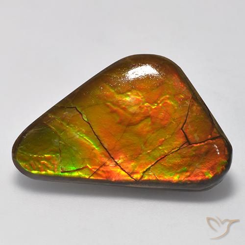 13.81ct Natürlicher Mehrfarbig Ammolith, Fantasie, Lichtundurchlässig