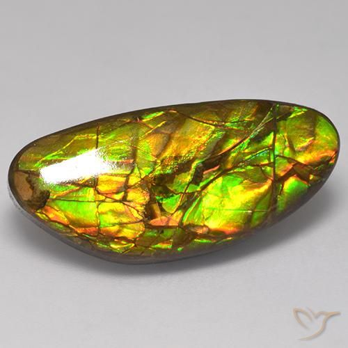 17.56ct Natürlicher Mehrfarbig Ammolith, Fantasie, Lichtundurchlässig