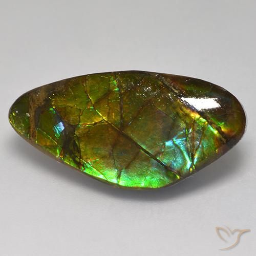 13.97ct Natürlicher Mehrfarbig Ammolith, Fantasie, Lichtundurchlässig
