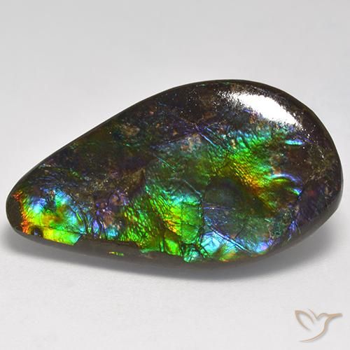 18.05ct Natürlicher Mehrfarbig Ammolith, Fantasie, Lichtundurchlässig