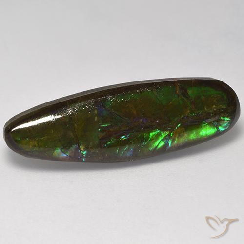10.95ct Natürlicher Mehrfarbig Ammolith, Fantasie, Lichtundurchlässig