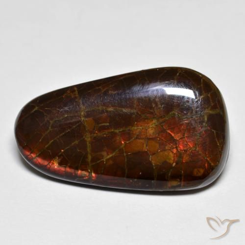 14.44ct Natürlicher Mehrfarbig Ammolith, Fantasie, Lichtundurchlässig