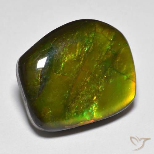13.07ct Natürlicher Mehrfarbig Ammolith, Fantasie, Lichtundurchlässig