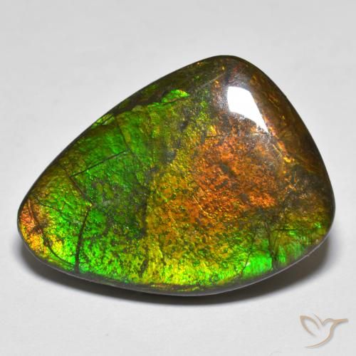 16.66ct Natürlicher Mehrfarbig Ammolith, Fantasie, Lichtundurchlässig