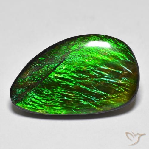 12.81ct Natürlicher Mehrfarbig Ammolith, Fantasie, Lichtundurchlässig