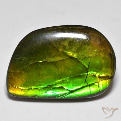 16.89ct Natürlicher Mehrfarbig Ammolith, Fantasie, Lichtundurchlässig
