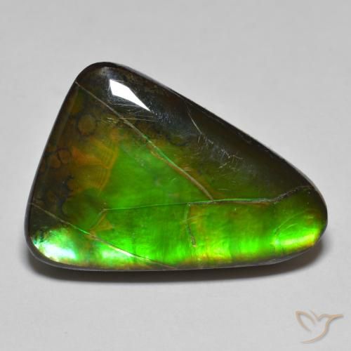15.34ct Natürlicher Mehrfarbig Ammolith, Fantasie, Lichtundurchlässig