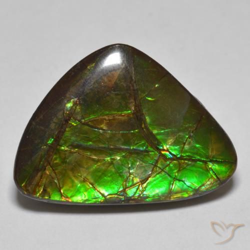 10.78ct Natürlicher Mehrfarbig Ammolith, Fantasie, Lichtundurchlässig
