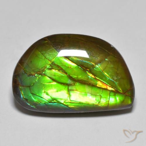 11.66ct Natürlicher Mehrfarbig Ammolith, Fantasie, Lichtundurchlässig