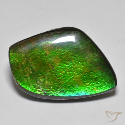11.78ct Natürlicher Mehrfarbig Ammolith, Fantasie, Lichtundurchlässig