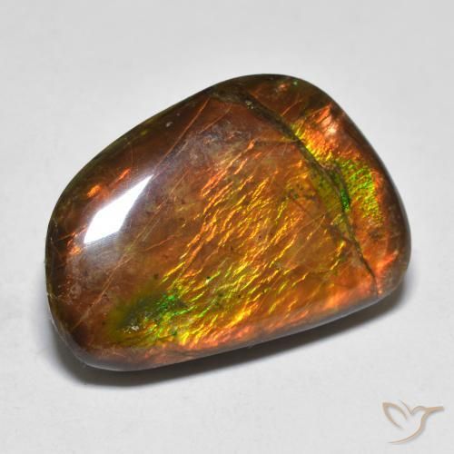 16.39ct Natürlicher Mehrfarbig Ammolith, Fantasie, Lichtundurchlässig