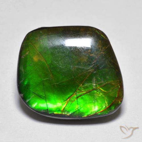 11.10ct Natürlicher Mehrfarbig Ammolith, Fantasie, Lichtundurchlässig