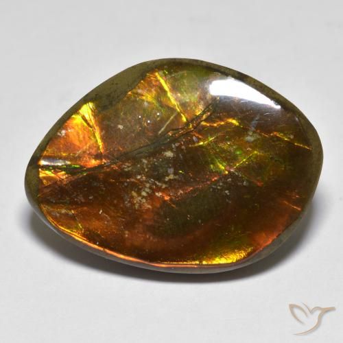 20.29ct Natürlicher Mehrfarbig Ammolith, Fantasie, Lichtundurchlässig