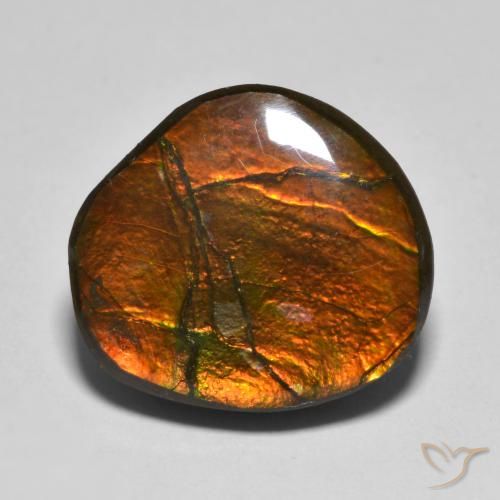 11.11ct Natürlicher Mehrfarbig Ammolith, Fantasie, Lichtundurchlässig