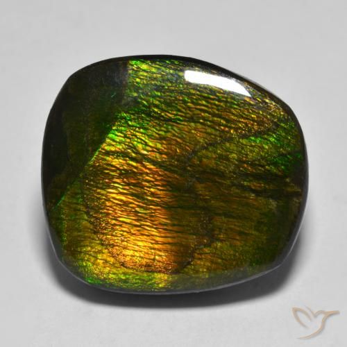 15.88ct Natürlicher Mehrfarbig Ammolith, Fantasie, Lichtundurchlässig