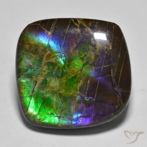 19.25ct Natürlicher Mehrfarbig Ammolith, Fantasie, Lichtundurchlässig