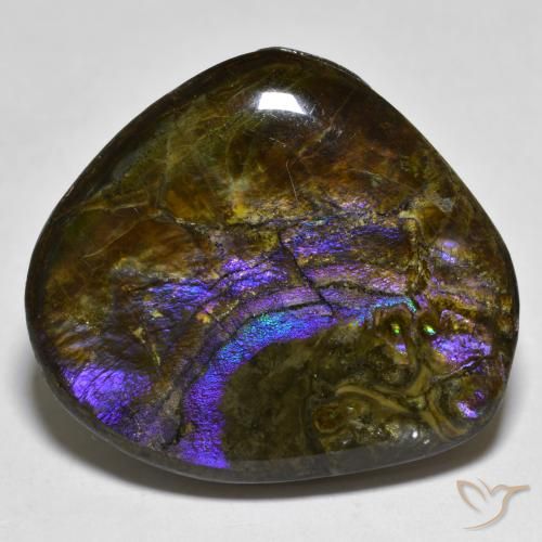 20.55ct Natürlicher Mehrfarbig Ammolith, Fantasie, Lichtundurchlässig