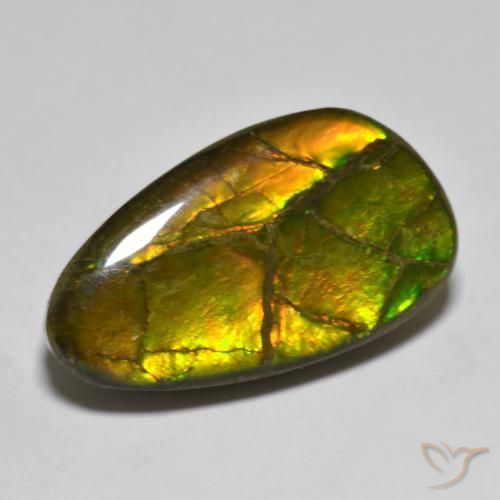 12.63ct Natürlicher Mehrfarbig Ammolith, Fantasie, Lichtundurchlässig