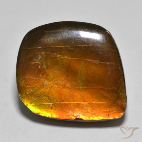 16.24ct Natürlicher Mehrfarbig Ammolith, Fantasie, Lichtundurchlässig