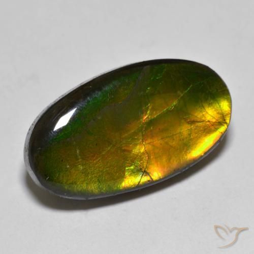 10.40ct Natürlicher Mehrfarbig Ammolith, Oval, Lichtundurchlässig