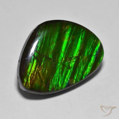 14.85ct Natürlicher Mehrfarbig Ammolith, Fantasie, Lichtundurchlässig