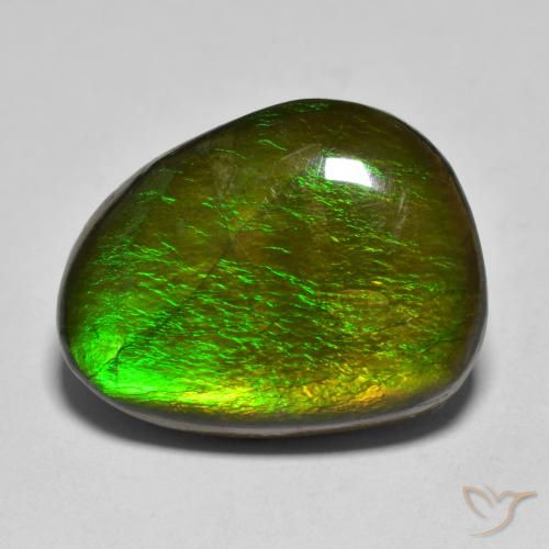 11.23ct Natürlicher Mehrfarbig Ammolith, Fantasie, Lichtundurchlässig