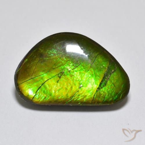 10.81ct Natürlicher Mehrfarbig Ammolith, Fantasie, Lichtundurchlässig