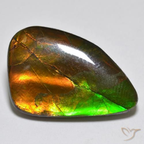 12.25ct Natürlicher Mehrfarbig Ammolith, Fantasie, Lichtundurchlässig