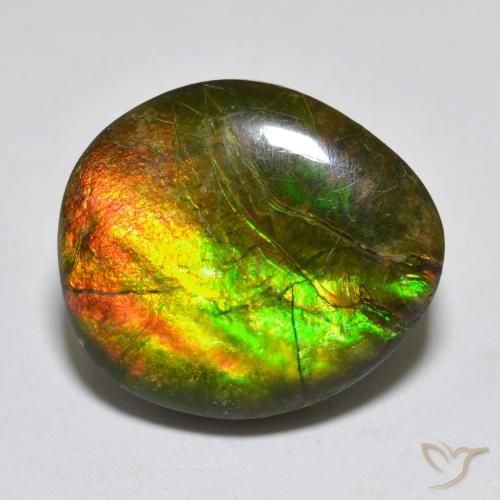 13.34ct Natürlicher Mehrfarbig Ammolith, Fantasie, Lichtundurchlässig