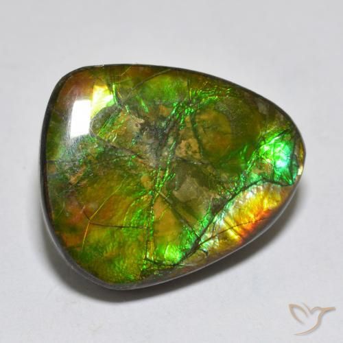 14.92ct Natürlicher Mehrfarbig Ammolith, Fantasie, Lichtundurchlässig