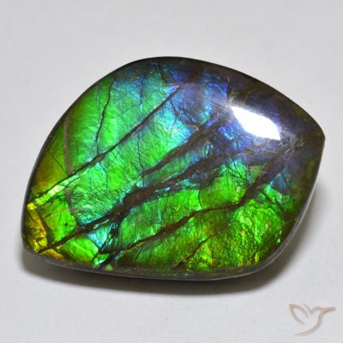 17.95ct Natürlicher Mehrfarbig Ammolith, Fantasie, Lichtundurchlässig