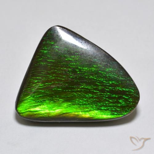13.96ct Natürlicher Mehrfarbig Ammolith, Fantasie, Lichtundurchlässig