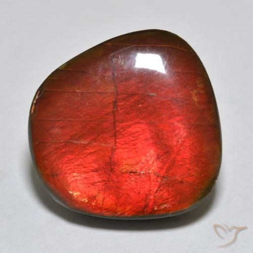 15.39ct Natürlicher Mehrfarbig Ammolith, Fantasie, Lichtundurchlässig