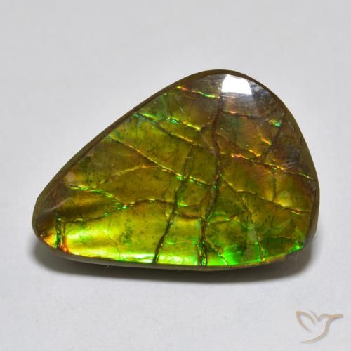 11.13ct Natürlicher Mehrfarbig Ammolith, Fantasie, Lichtundurchlässig