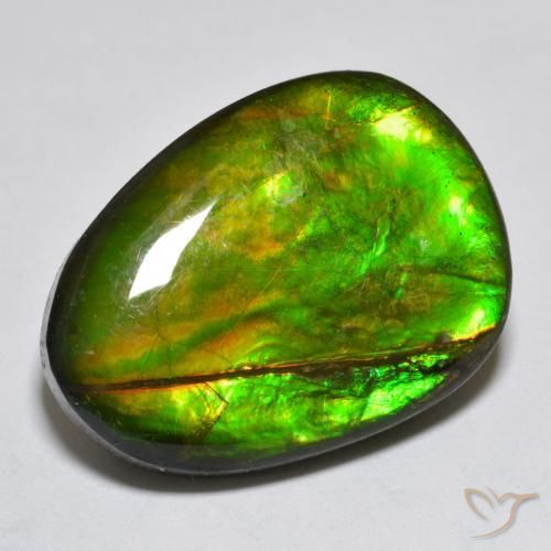 18.76ct Natürlicher Mehrfarbig Ammolith, Fantasie, Lichtundurchlässig