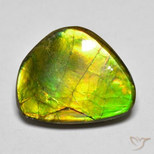 11.11ct Natürlicher Mehrfarbig Ammolith, Fantasie, Lichtundurchlässig