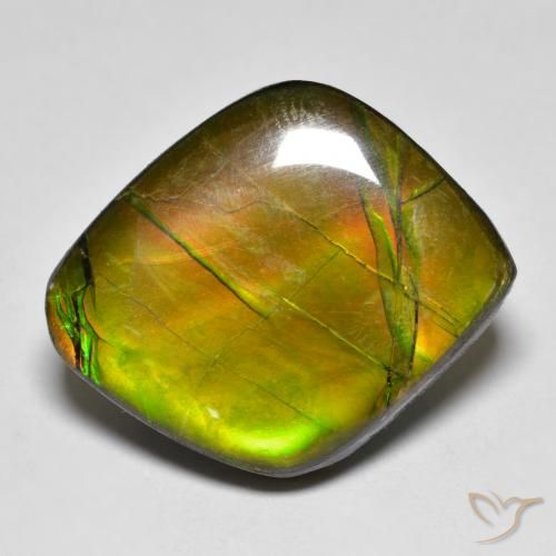 19.04ct Natürlicher Mehrfarbig Ammolith, Fantasie, Lichtundurchlässig