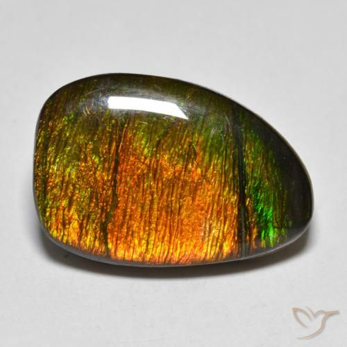 10.20ct Natürlicher Mehrfarbig Ammolith, Fantasie, Lichtundurchlässig