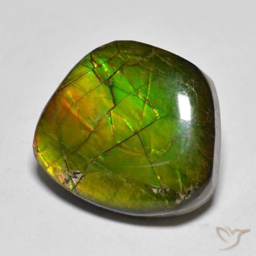 11.20ct Natürlicher Mehrfarbig Ammolith, Fantasie, Lichtundurchlässig