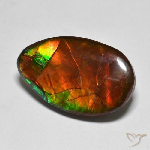 13.17ct Natürlicher Mehrfarbig Ammolith, Fantasie, Lichtundurchlässig