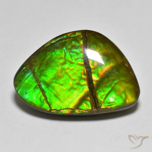 12.75ct Natürlicher Mehrfarbig Ammolith, Fantasie, Lichtundurchlässig
