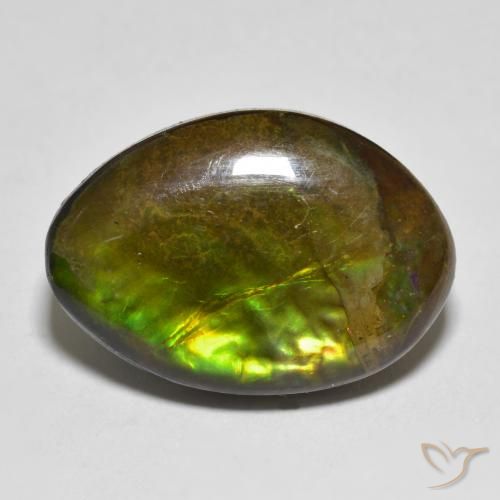 11.56ct Natürlicher Mehrfarbig Ammolith, Fantasie, Lichtundurchlässig