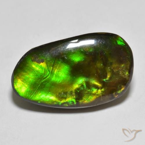13.25ct Natürlicher Mehrfarbig Ammolith, Fantasie, Lichtundurchlässig