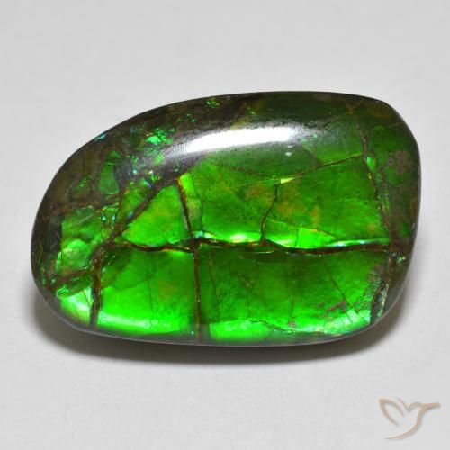 16.43ct Natürlicher Mehrfarbig Ammolith, Fantasie, Lichtundurchlässig