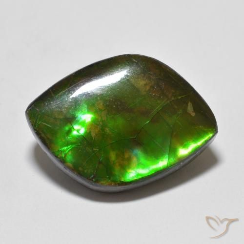 10.24ct Natürlicher Mehrfarbig Ammolith, Fantasie, Lichtundurchlässig