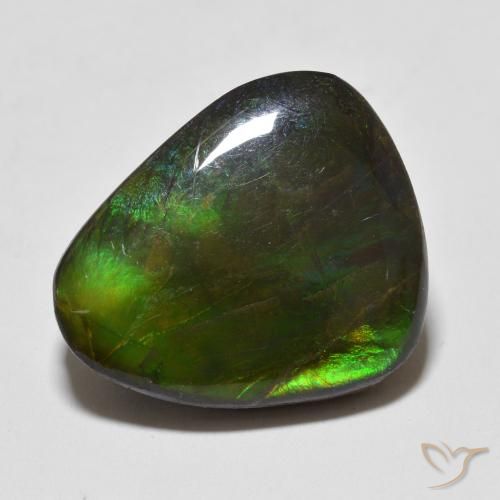 12.93ct Natürlicher Mehrfarbig Ammolith, Fantasie, Lichtundurchlässig